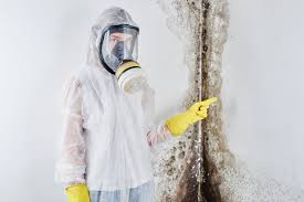 Best Black Mold Removal  in Oceana, WV